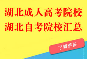 湖北成人高考自考院校汇总
